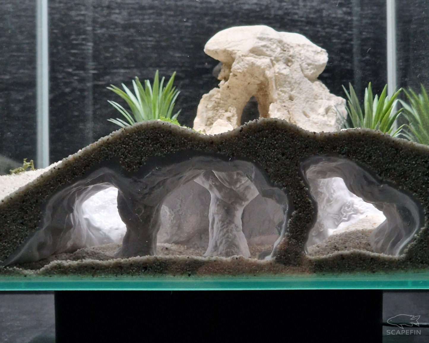 Atlantis Hidden Observation Cave | Aquarium & Terrarium Decor | Natural Hide for Fish, Plecos, Shrimp, Beetles or Reptiles