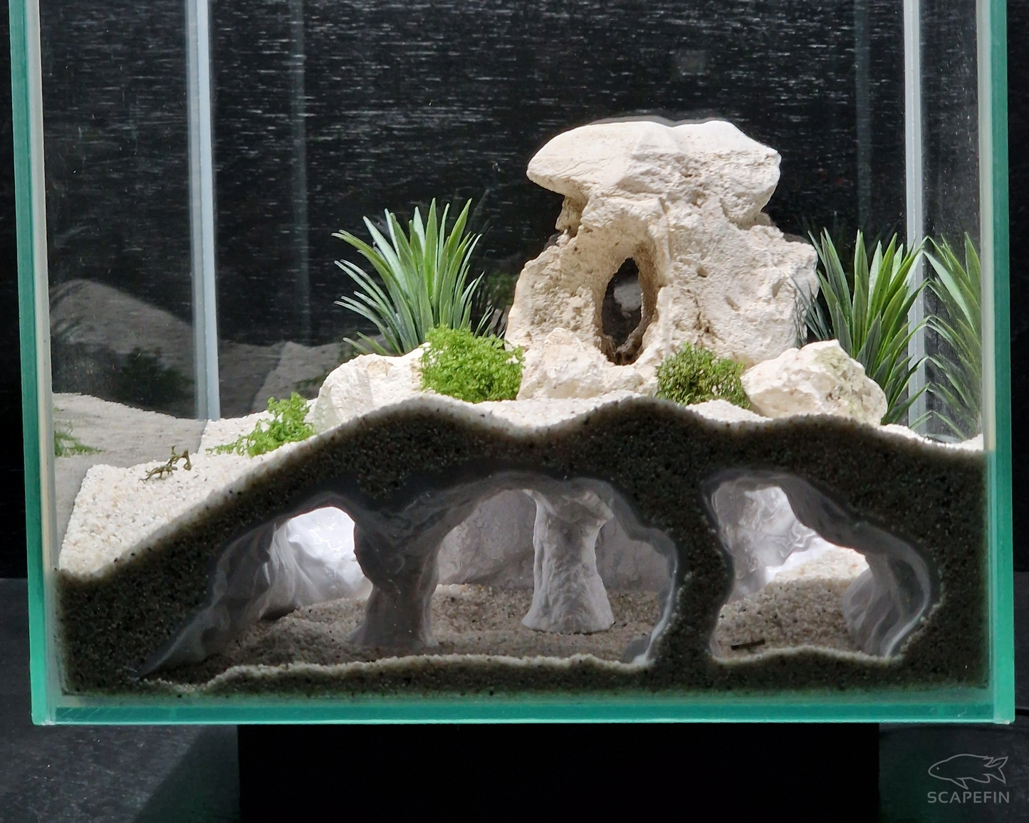 Atlantis Hidden Observation Cave | Aquarium & Terrarium Decor | Natural Hide for Fish, Plecos, Shrimp, Beetles or Reptiles