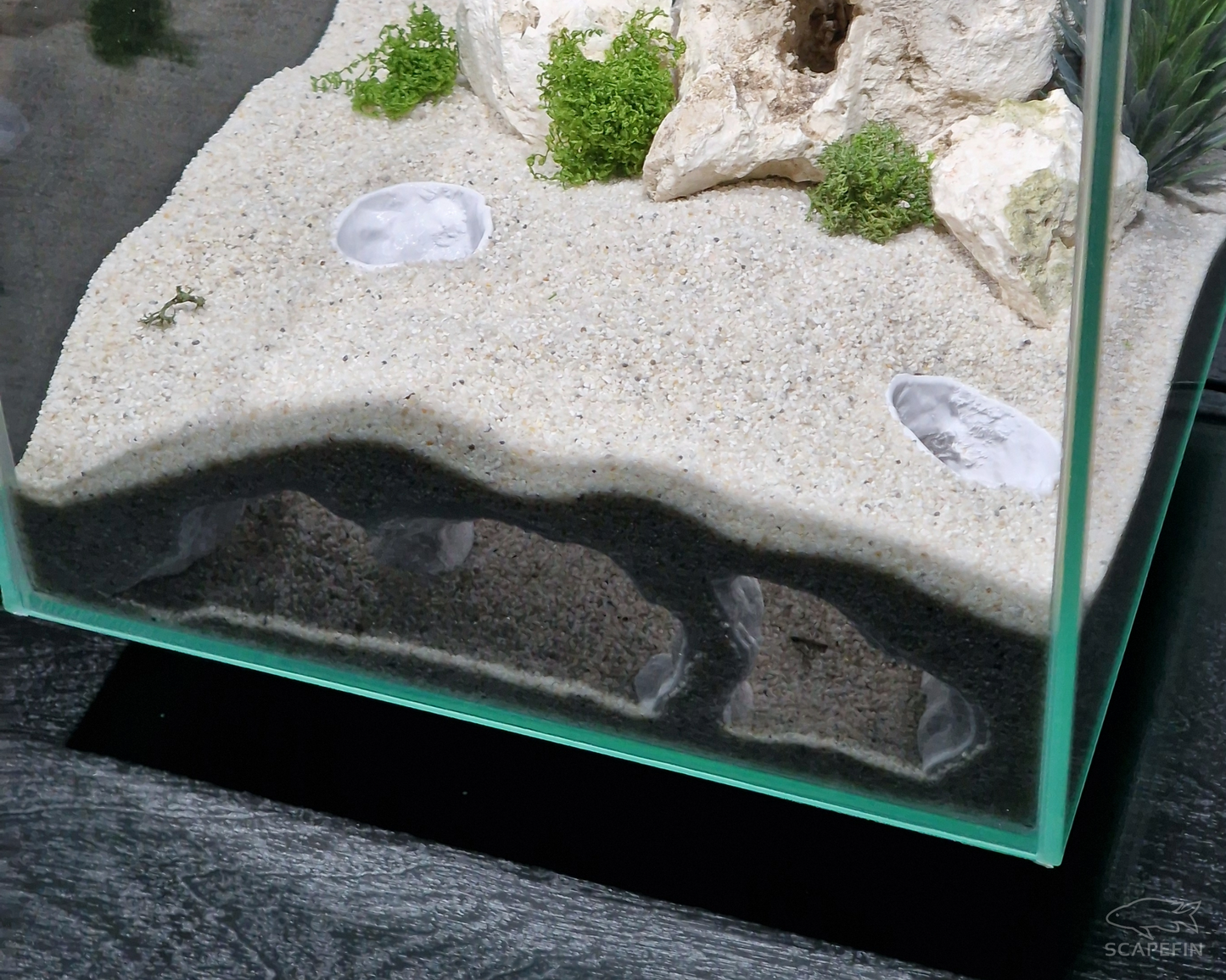 Atlantis Hidden Observation Cave | Aquarium & Terrarium Decor | Natural Hide for Fish, Plecos, Shrimp, Beetles or Reptiles