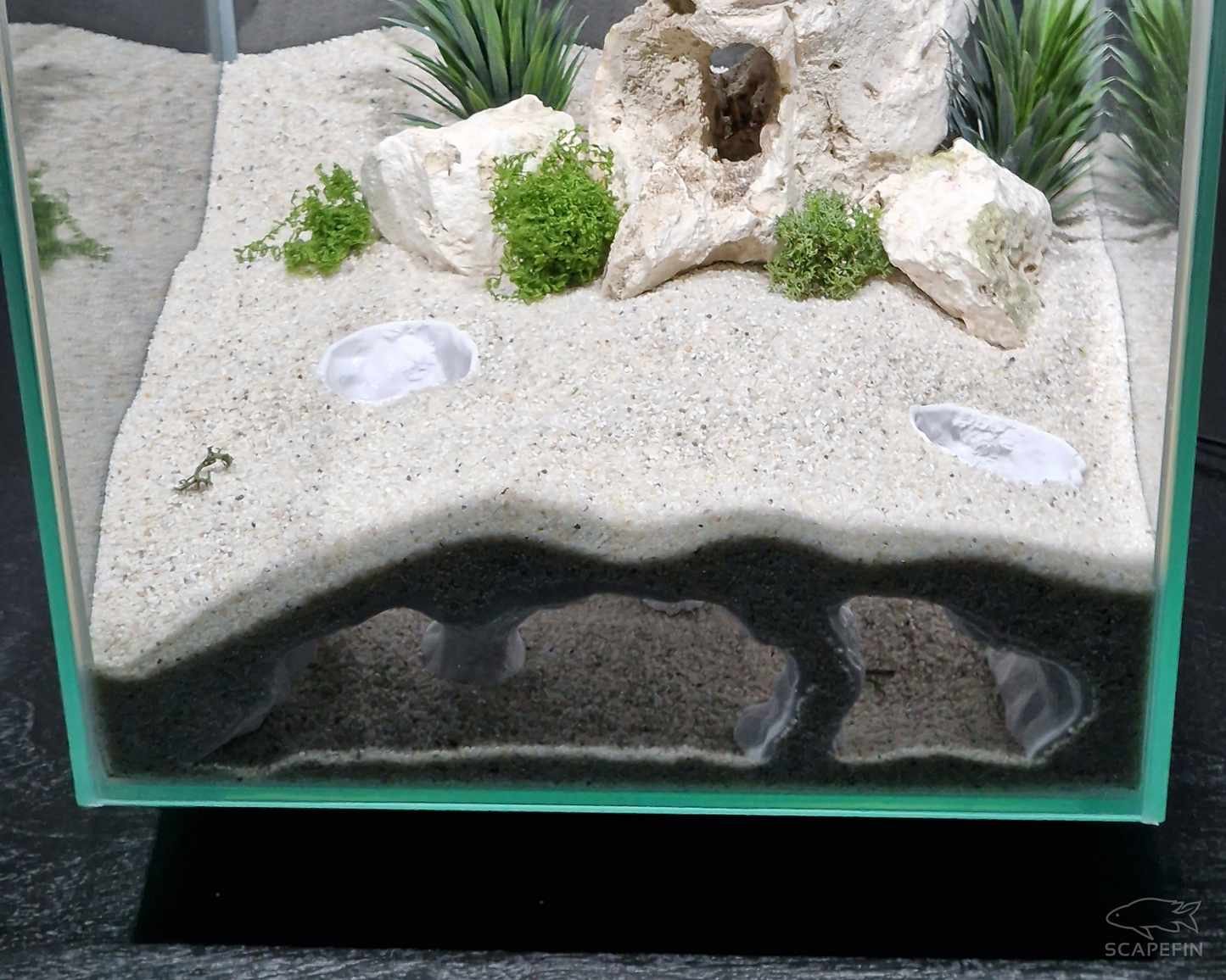 Atlantis Hidden Observation Cave | Aquarium & Terrarium Decor | Natural Hide for Fish, Plecos, Shrimp, Beetles or Reptiles