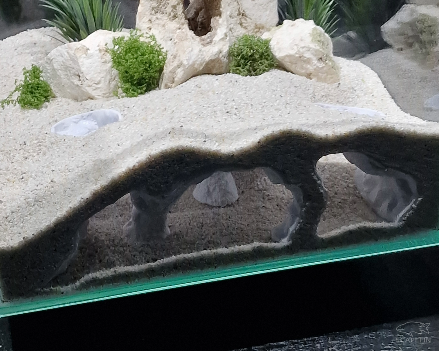 Atlantis Hidden Observation Cave | Aquarium & Terrarium Decor | Natural Hide for Fish, Plecos, Shrimp, Beetles or Reptiles