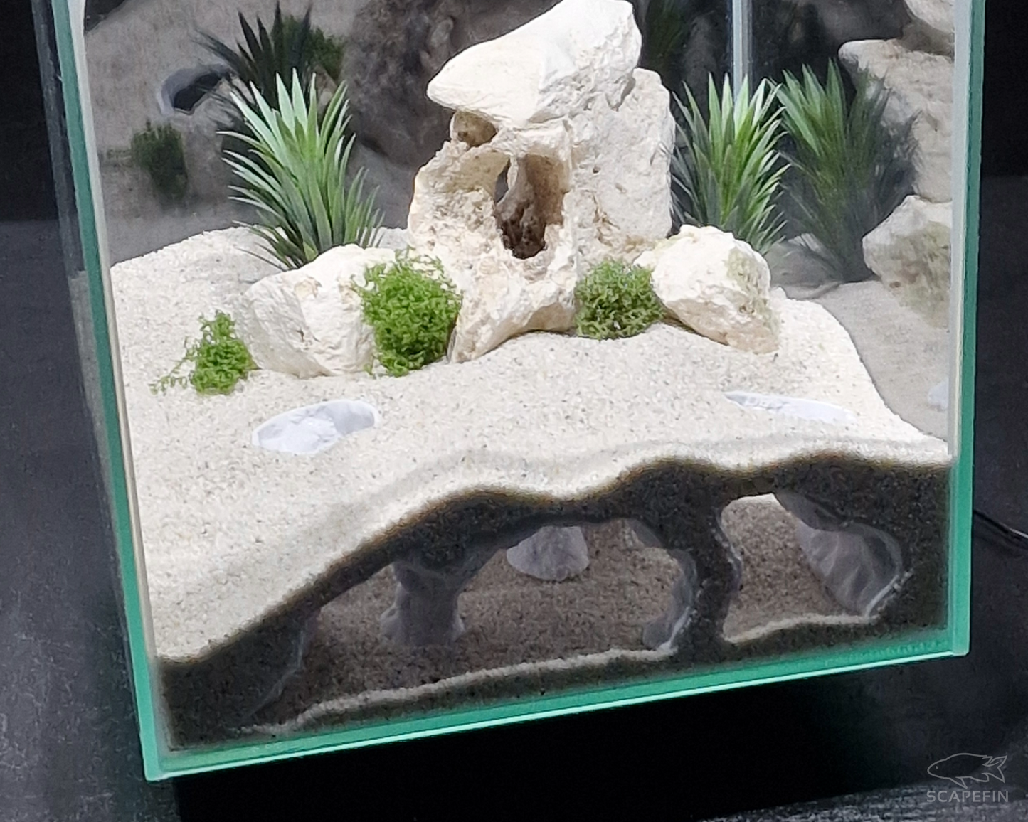 Atlantis Hidden Observation Cave | Aquarium & Terrarium Decor | Natural Hide for Fish, Plecos, Shrimp, Beetles or Reptiles