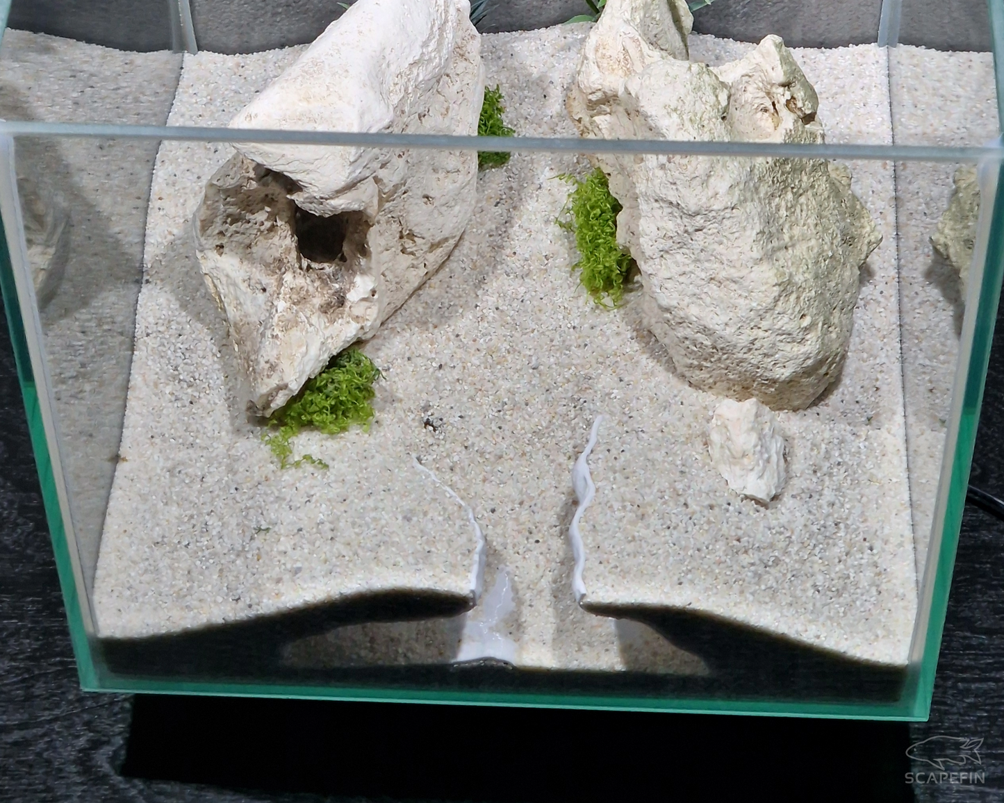 NEW! Severance Observation Cave | Aquarium & Terrarium Decor | Natural Hide for Fish, Plecos, Shrimp, Beetles or Reptiles