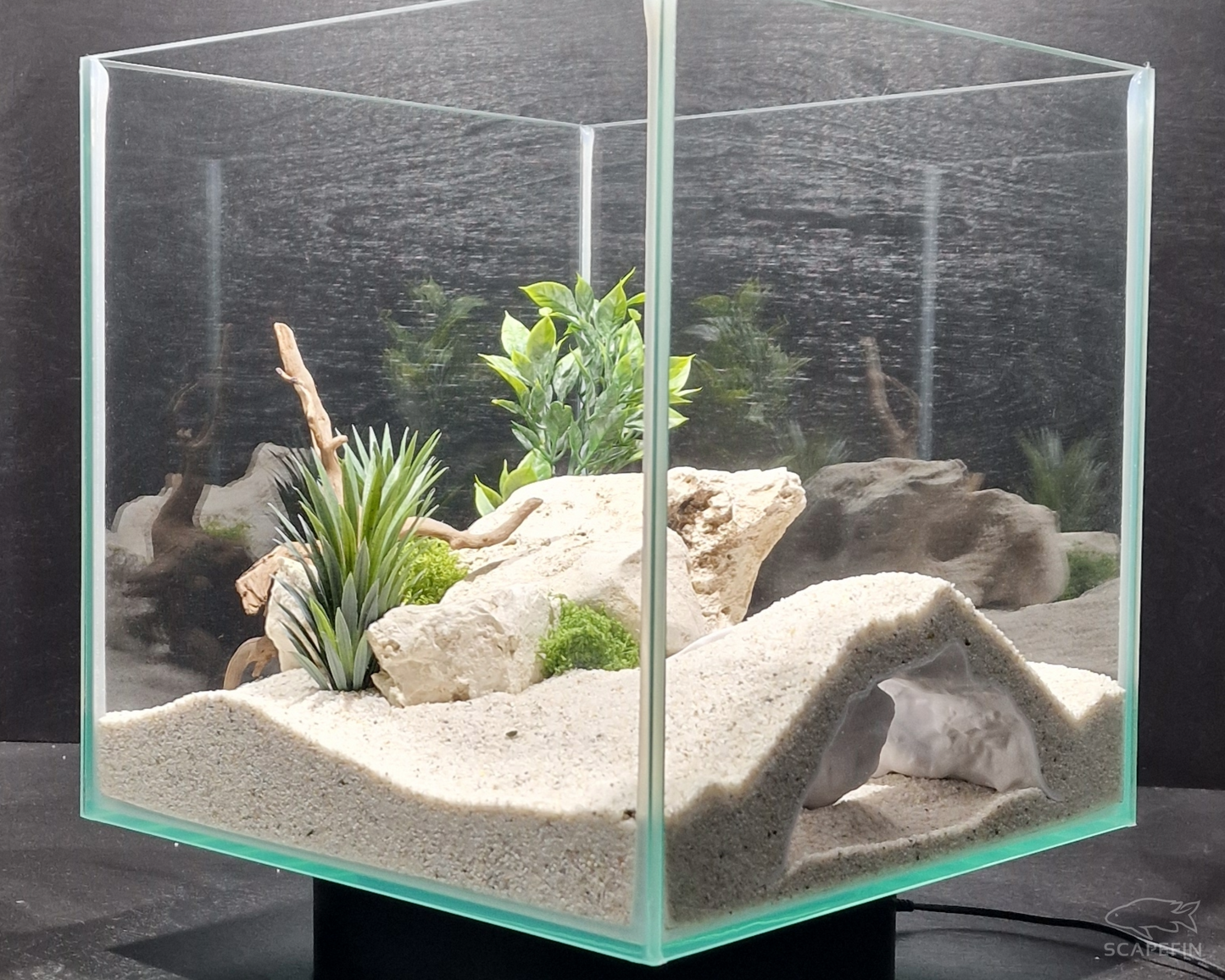 Tiraxis Buried Observation Cave | Aquarium & Terrarium Decor | Natural Hide for Fish, Plecos, Shrimp, Beetles or Reptiles