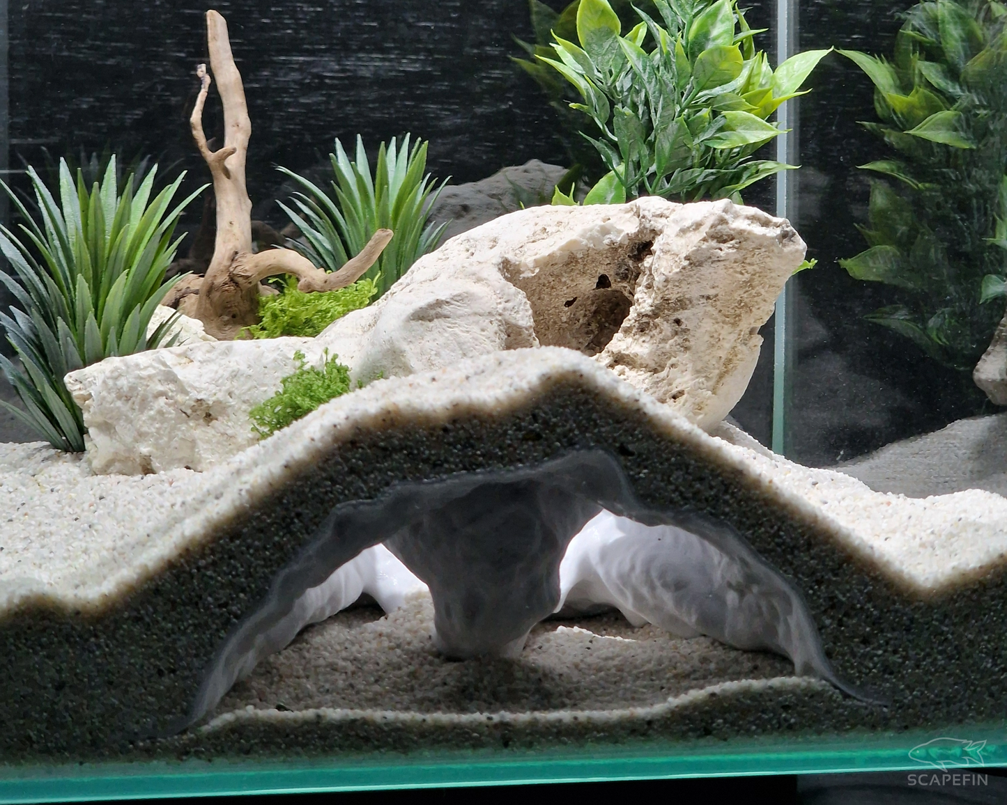 Tiraxis Buried Observation Cave | Aquarium & Terrarium Decor | Natural Hide for Fish, Plecos, Shrimp, Beetles or Reptiles