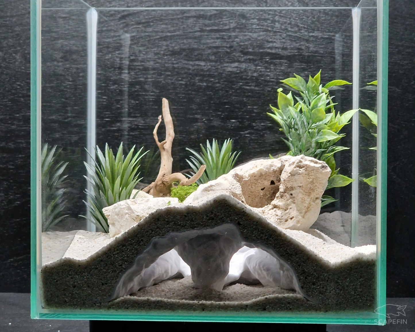 Tiraxis Buried Observation Cave | Aquarium & Terrarium Decor | Natural Hide for Fish, Plecos, Shrimp, Beetles or Reptiles