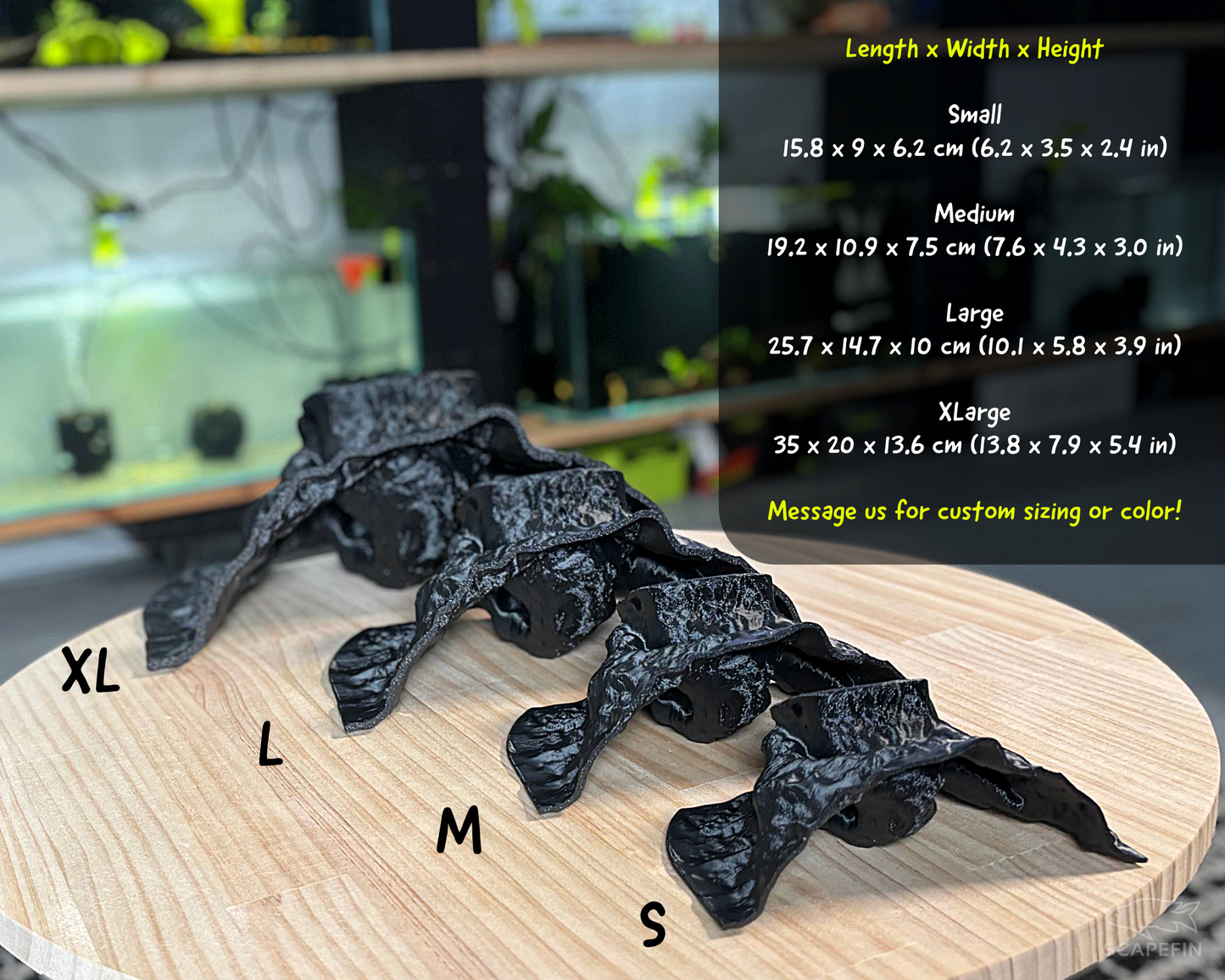 Tiraxis Buried Observation Cave | Aquarium & Terrarium Decor | Natural Hide for Fish, Plecos, Shrimp, Beetles or Reptiles