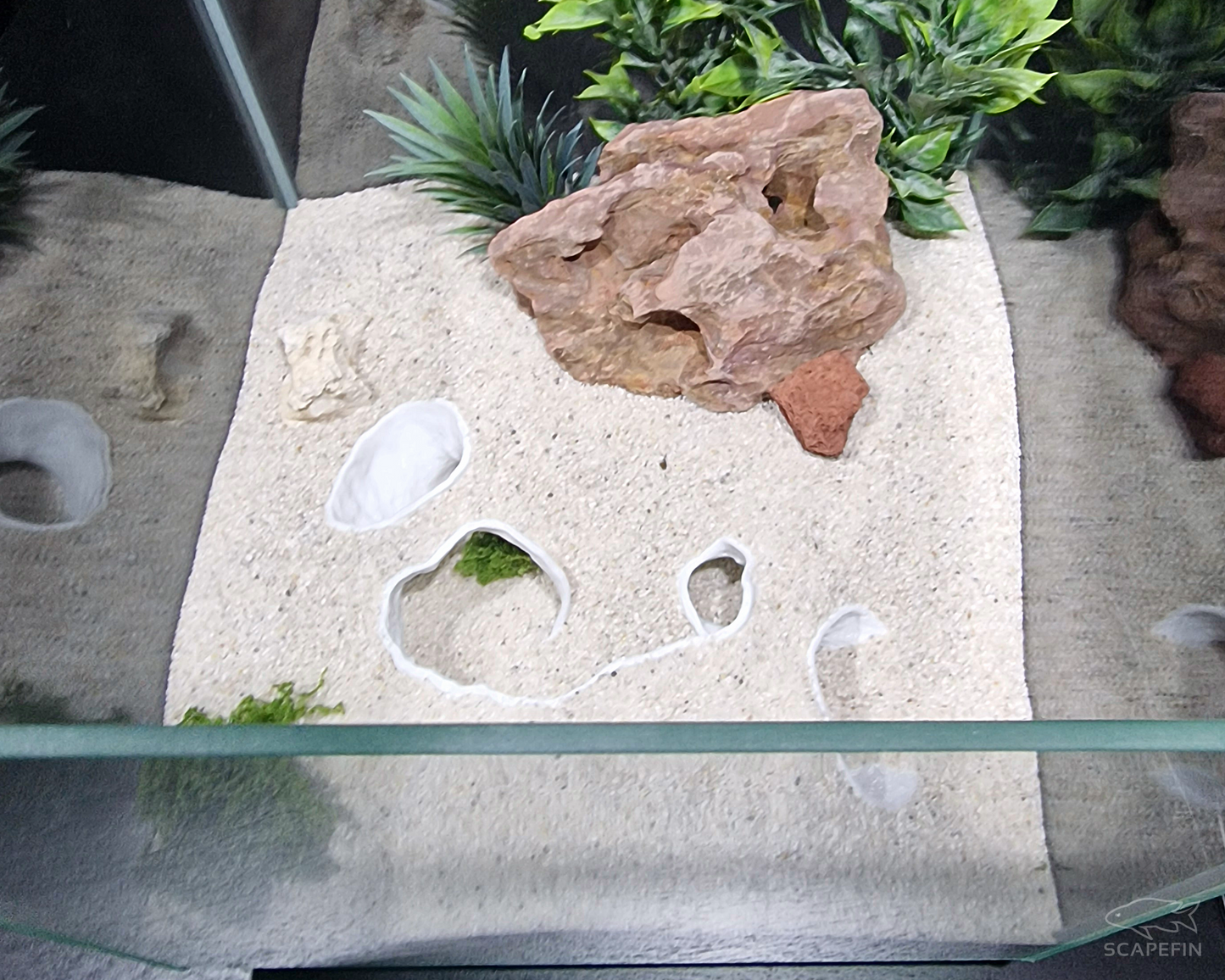 Triton Observation Cave | Aquarium & Terrarium Decor | Natural Hide for Fish, Plecos, Shrimp, Beetles or Reptiles