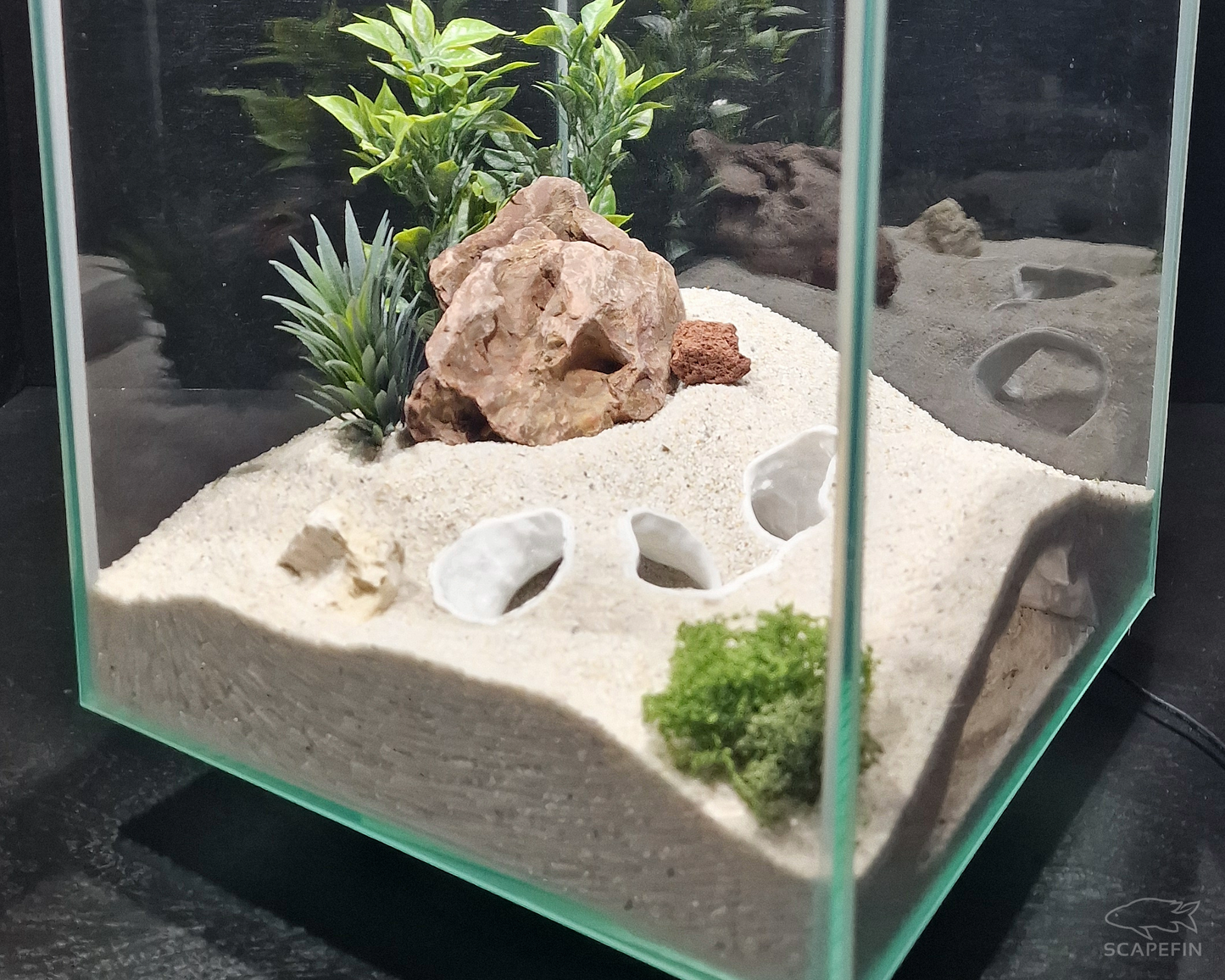 Triton Observation Cave | Aquarium & Terrarium Decor | Natural Hide for Fish, Plecos, Shrimp, Beetles or Reptiles