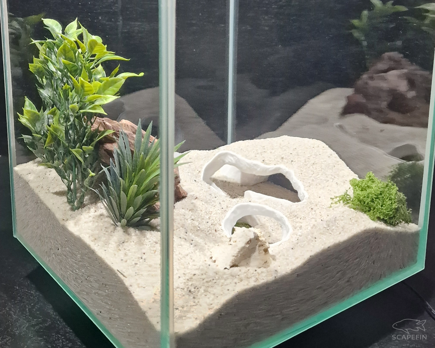 Triton Observation Cave | Aquarium & Terrarium Decor | Natural Hide for Fish, Plecos, Shrimp, Beetles or Reptiles