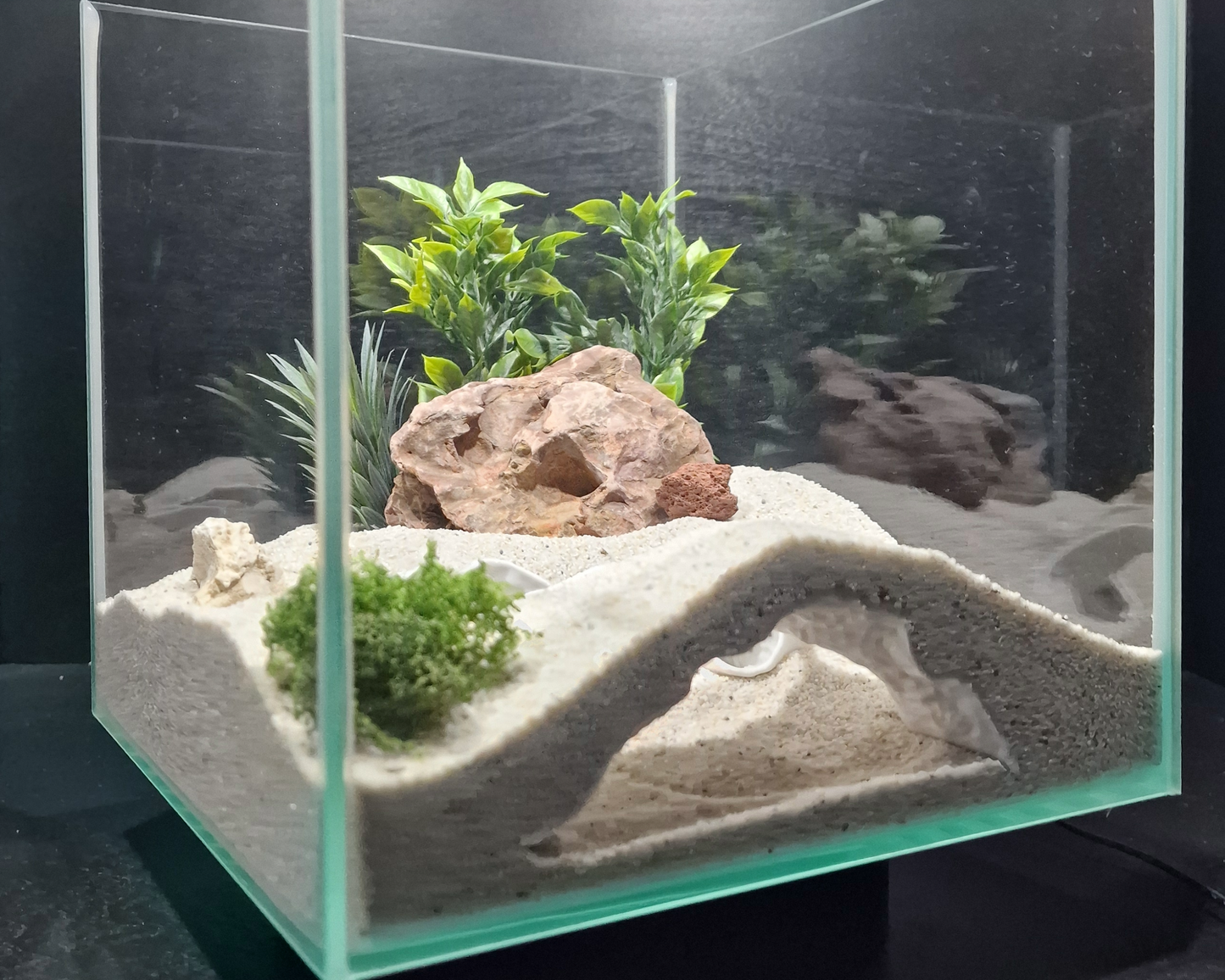 Triton Observation Cave | Aquarium & Terrarium Decor | Natural Hide for Fish, Plecos, Shrimp, Beetles or Reptiles