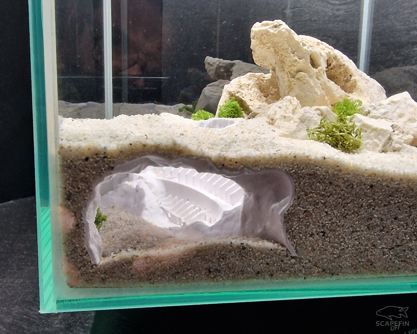 Sunken Colossum – Hidden Observation Cave | Aquarium & Terrarium Decor