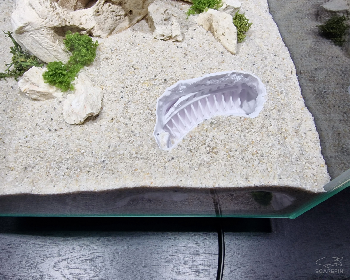 Sunken Colossum – Hidden Observation Cave | Aquarium & Terrarium Decor