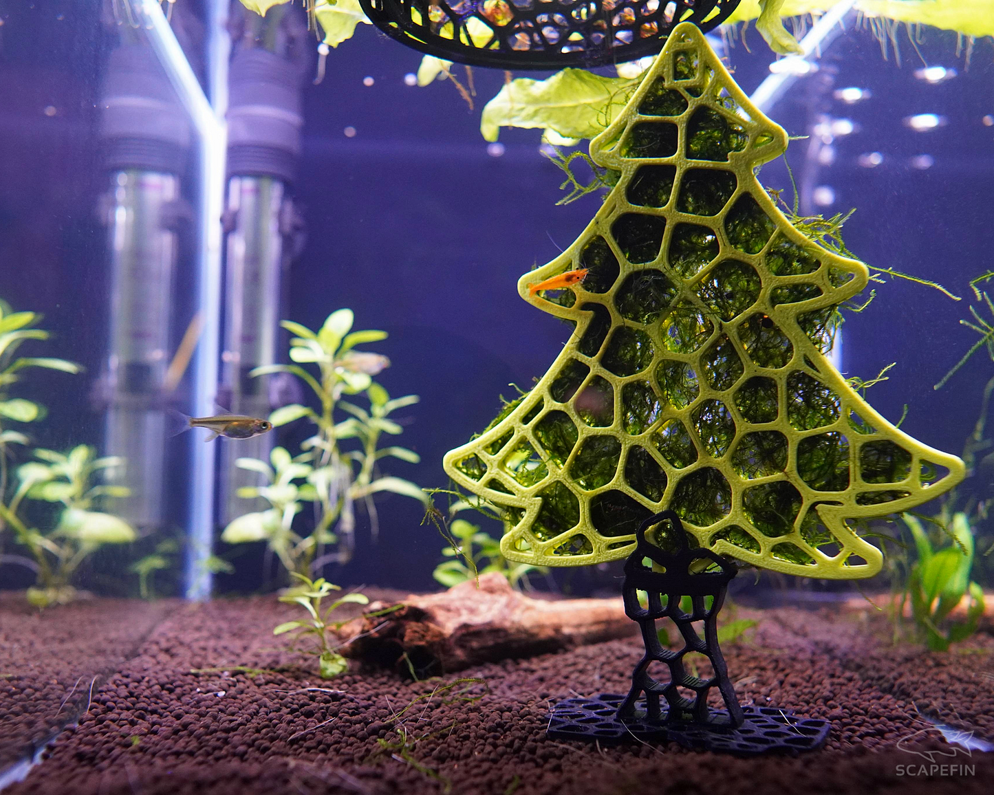 Tree Moss Grow-Out Frame for Aquatic Plants & Tank Decor, Perfect for Shrimp Tanks or Planted Aquariums, Holiday Decor