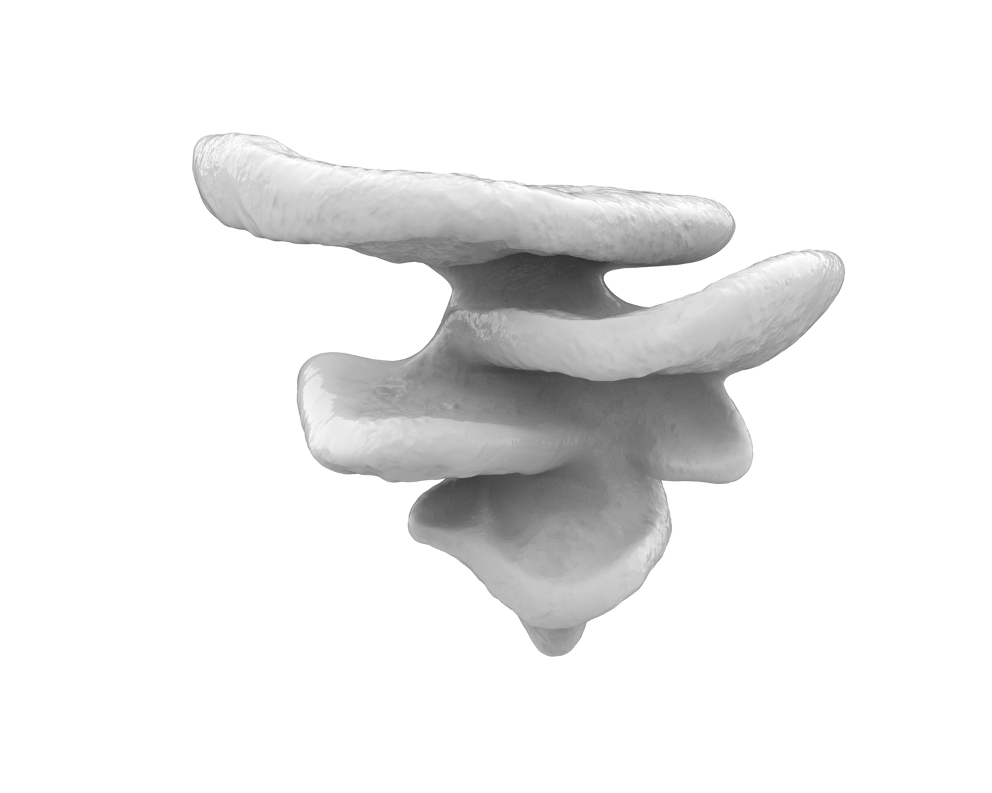 Mushroom Climbing Ledge | Suction-Mounted Terrarium Shelf Perch for Snakes & Reptiles