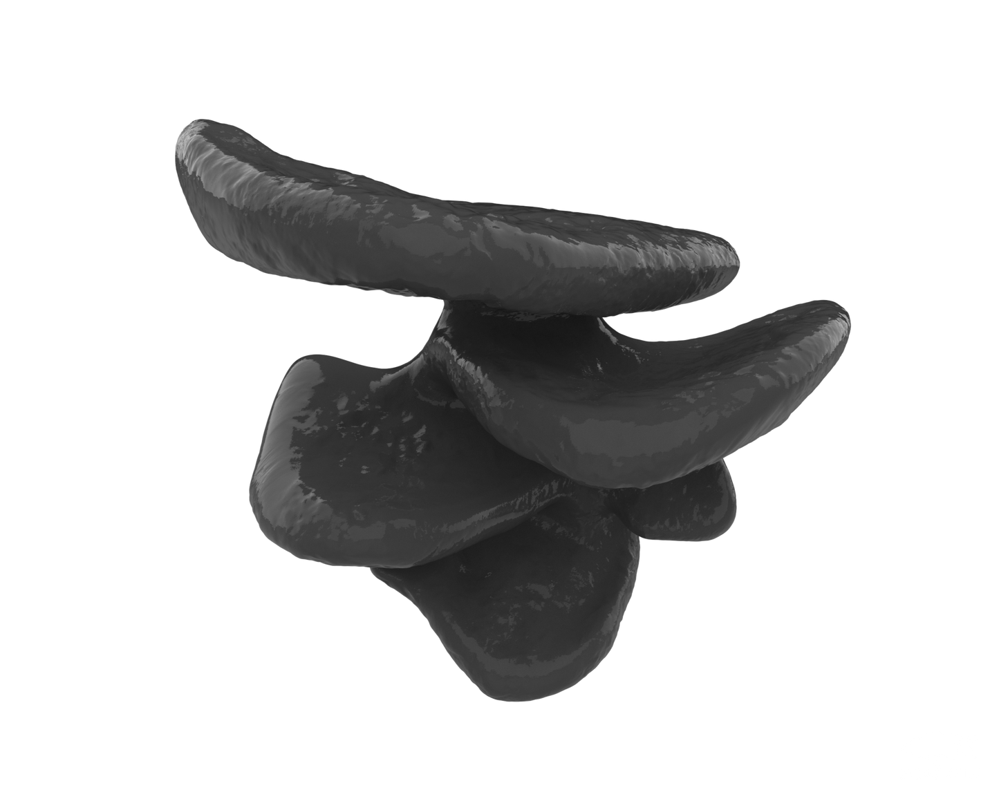 Mushroom Climbing Ledge | Suction-Mounted Terrarium Shelf Perch for Snakes & Reptiles