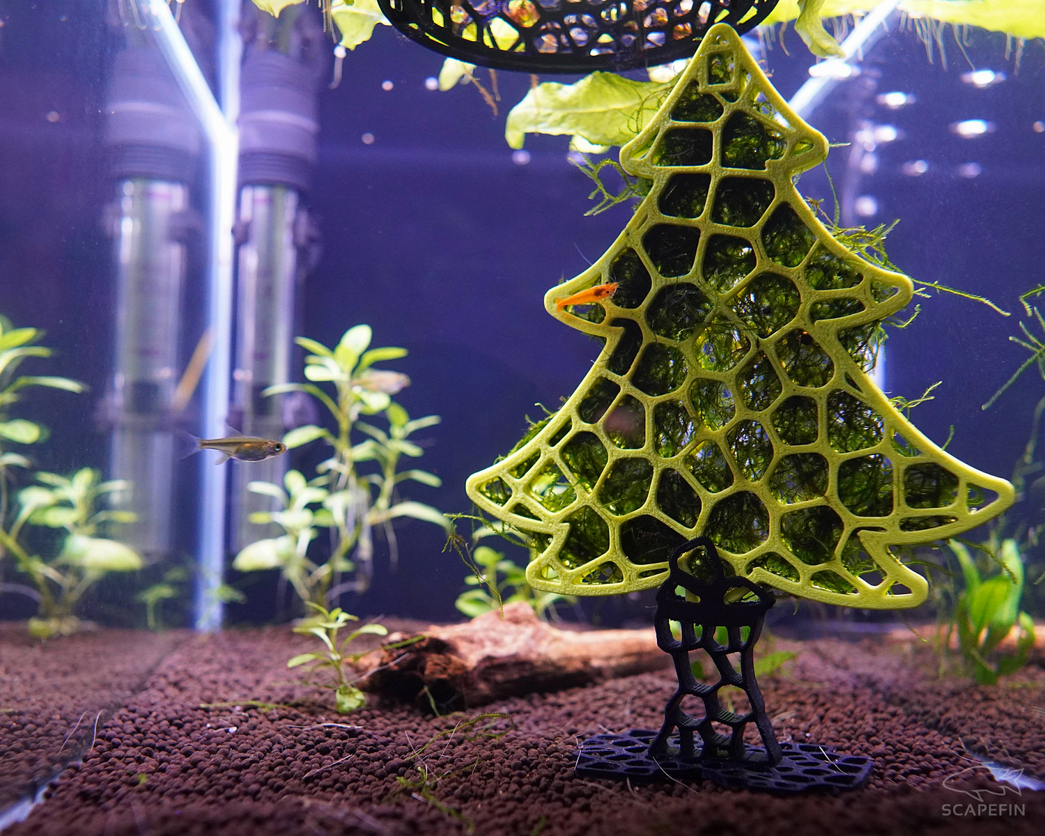 Green Scaping