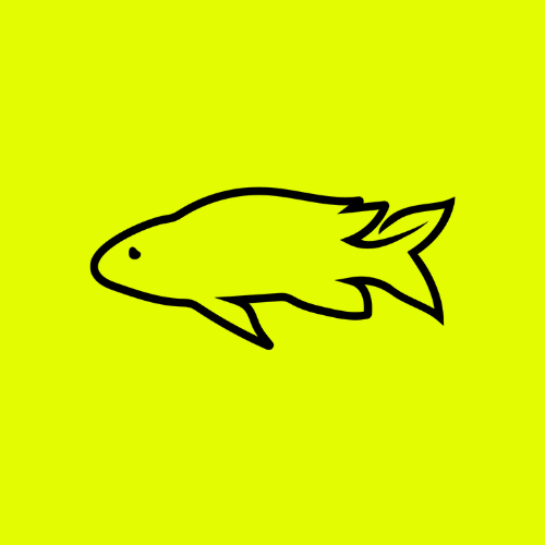 FinFam Gear