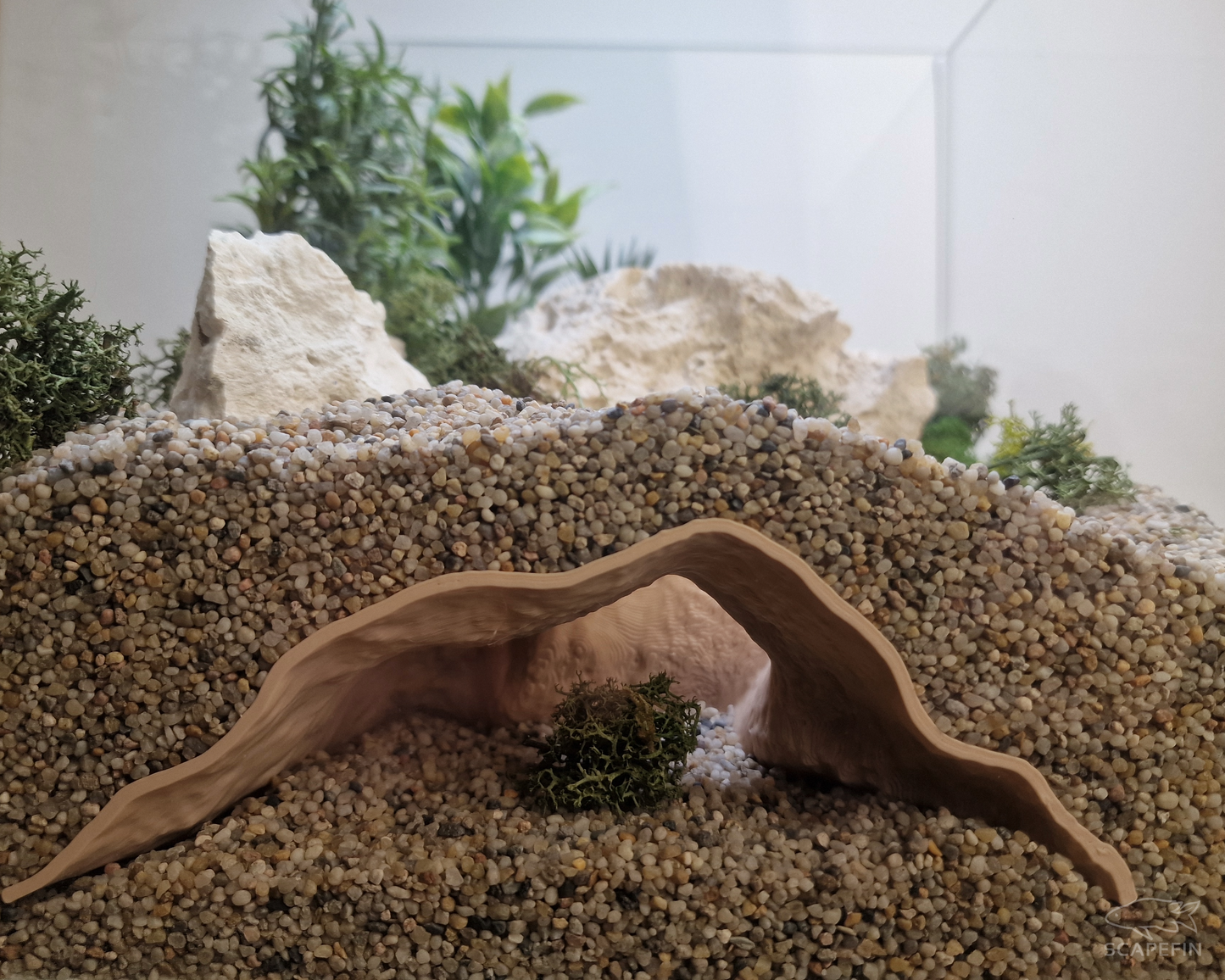 Corava Observation Cave | Aquarium & Terrarium Decor | Natural Hide for Fish, Plecos, Shrimp or Reptiles