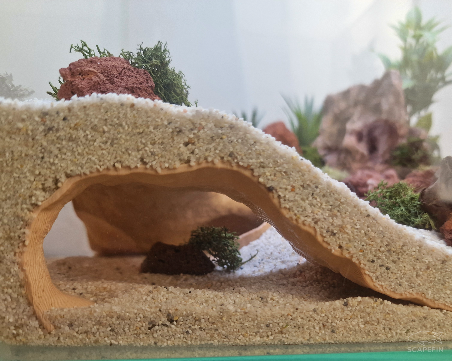 Riptide Corner Observation Cave | Aquarium & Terrarium Decor | Natural Hide for Fish, Plecos, Shrimp or Reptiles