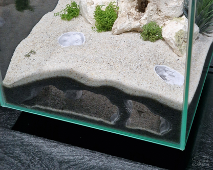 NEW! Atlantis Hidden Observation Cave | Aquarium & Terrarium Decor | Natural Hide for Fish, Plecos, Shrimp, Beetles or Reptiles