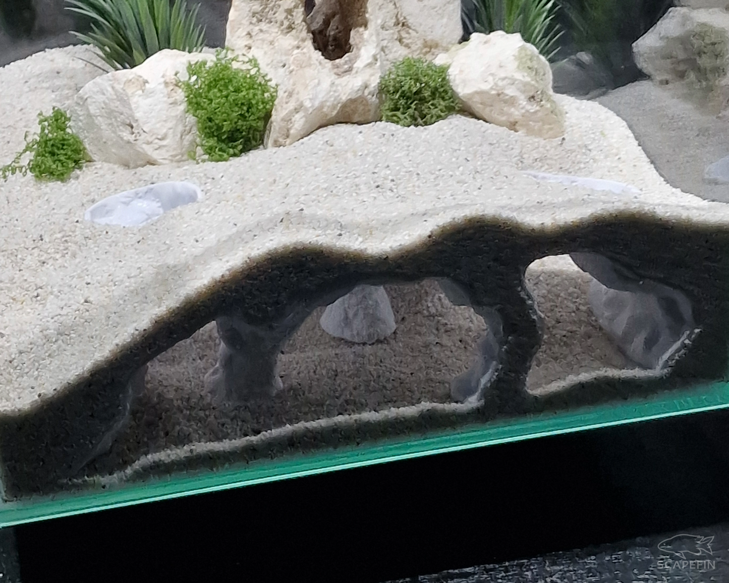 NEW! Atlantis Hidden Observation Cave | Aquarium & Terrarium Decor | Natural Hide for Fish, Plecos, Shrimp, Beetles or Reptiles