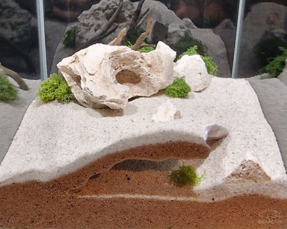 NEW! Cliffside Retreat Observation Cave | Aquarium & Terrarium Decor | Natural Hide for Fish, Plecos, Shrimp, Beetles or Reptiles