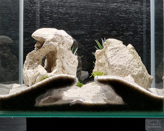 NEW! Severance Observation Cave | Aquarium & Terrarium Decor | Natural Hide for Fish, Plecos, Shrimp, Beetles or Reptiles
