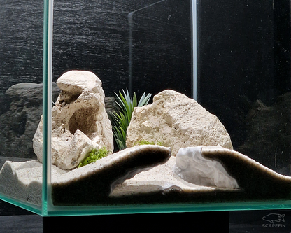 NEW! Severance Observation Cave | Aquarium & Terrarium Decor | Natural Hide for Fish, Plecos, Shrimp, Beetles or Reptiles