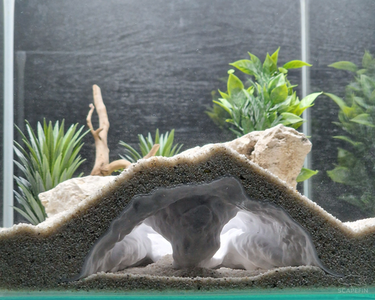 NEW! Tiraxis Buried Observation Cave | Aquarium & Terrarium Decor | Natural Hide for Fish, Plecos, Shrimp, Beetles or Reptiles