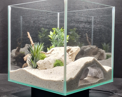 Tiraxis Buried Observation Cave | Aquarium & Terrarium Decor | Natural Hide for Fish, Plecos, Shrimp, Beetles or Reptiles