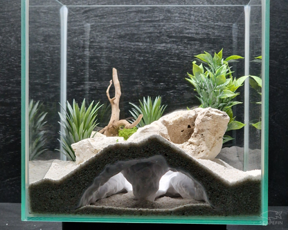 Tiraxis Buried Observation Cave | Aquarium & Terrarium Decor | Natural Hide for Fish, Plecos, Shrimp, Beetles or Reptiles