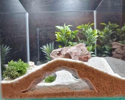 Triton Observation Cave | Aquarium & Terrarium Decor | Natural Hide for Fish, Plecos, Shrimp, Beetles or Reptiles