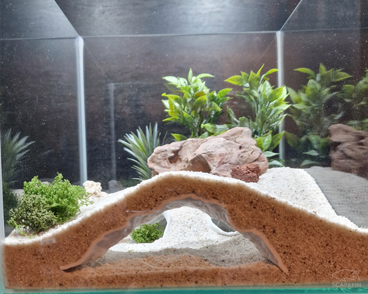 Triton Observation Cave | Aquarium & Terrarium Decor | Natural Hide for Fish, Plecos, Shrimp, Beetles or Reptiles