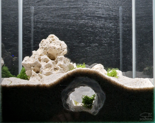 Vortex Observation Cave | Aquarium & Terrarium Decor