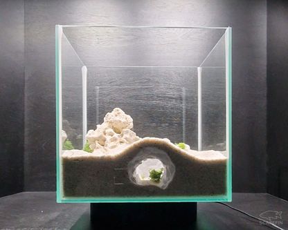 Vortex Observation Cave | Aquarium & Terrarium Decor