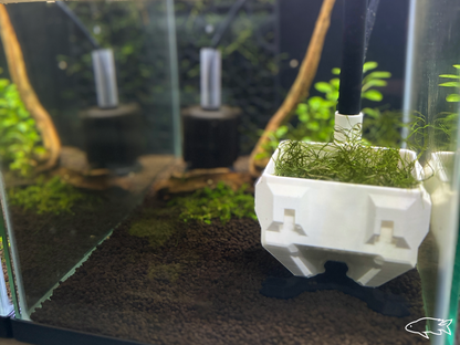 Fish Egg Collector Breeding Trap | Egg Catcher for Rasboras, Danios, and Aquarium Breeding