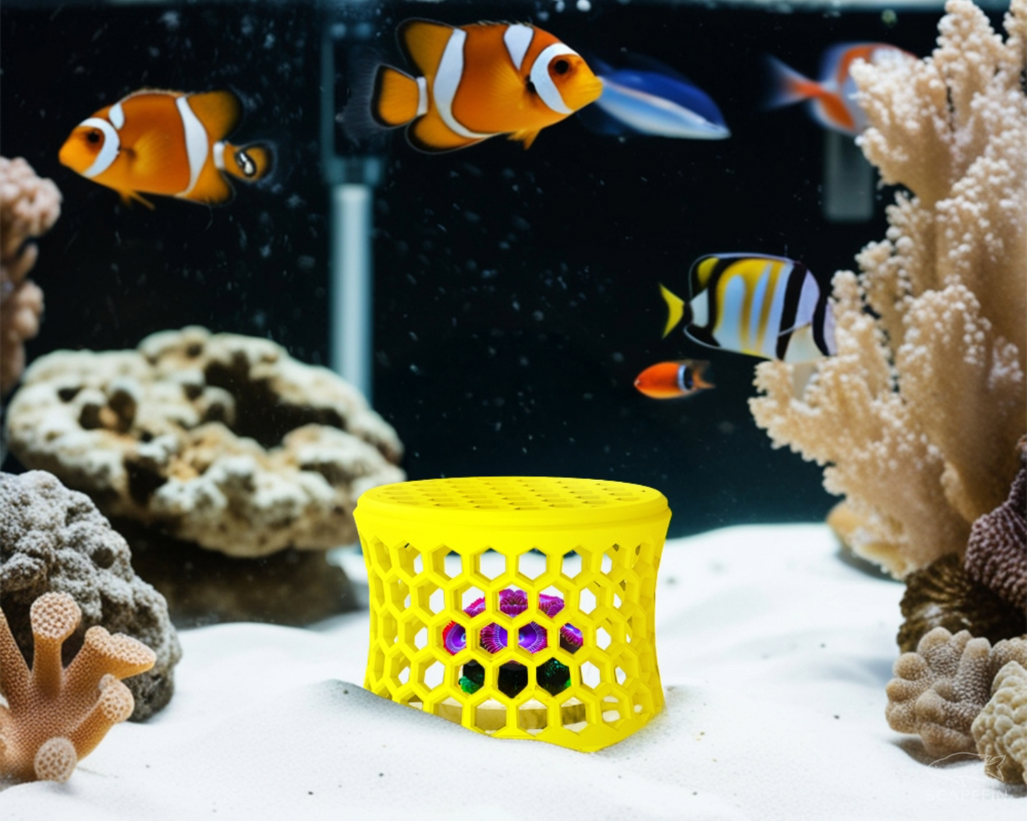 Shroom Shield – Mushroom Coral Frag Cage