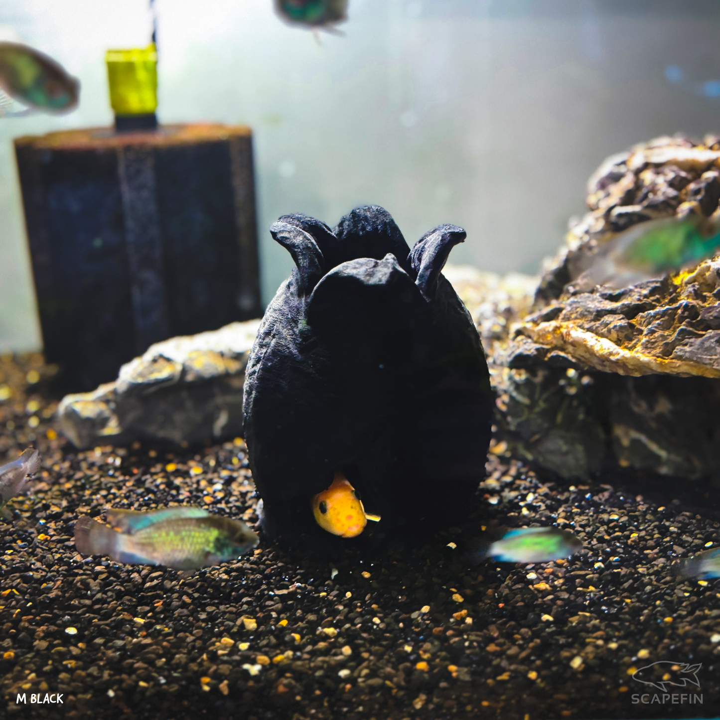 Alien Egg Hides (Set of 2) | Aquarium & Terrarium Shelters