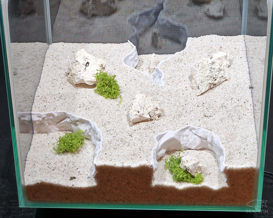 Substrate & Gravel Divider Set for Aquascaping (5 pcs)