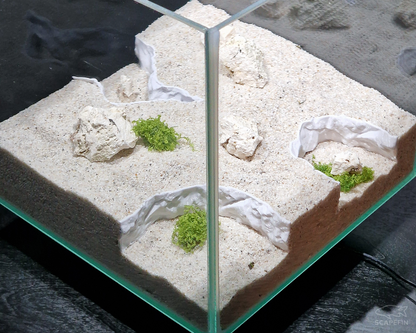 Substrate & Gravel Divider Set for Aquascaping (5 pcs)