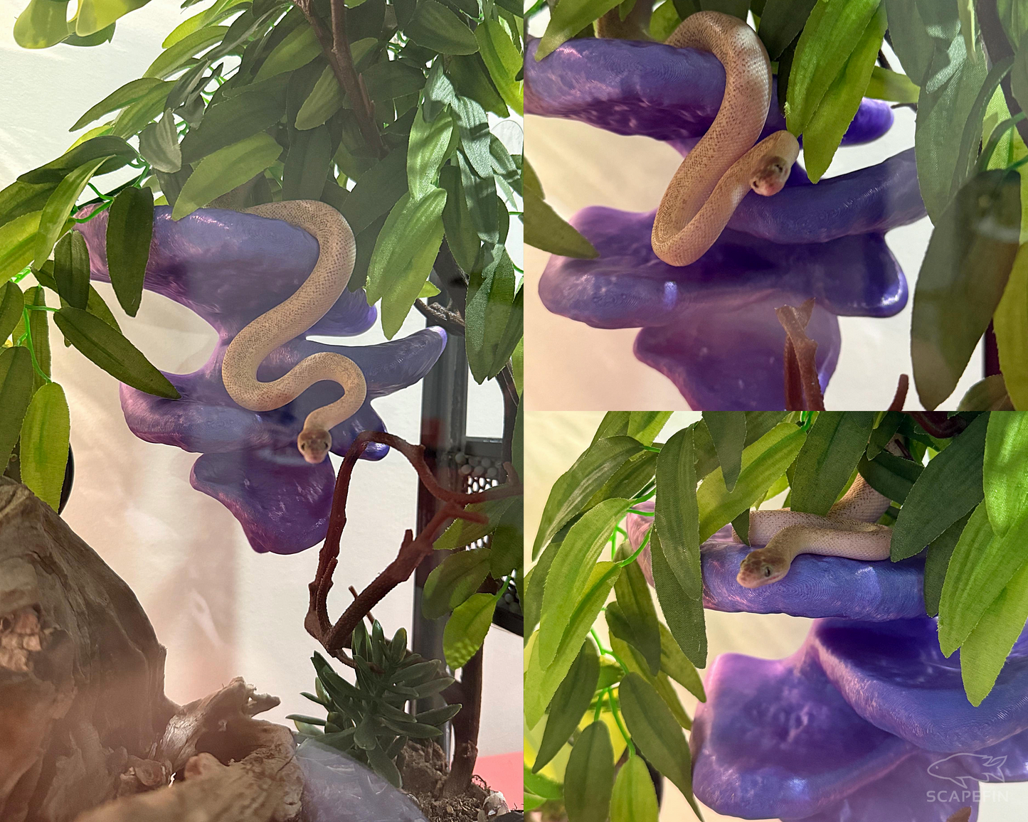 Mushroom Climbing Ledge | Suction-Mounted Terrarium Shelf Perch for Snakes & Reptiles