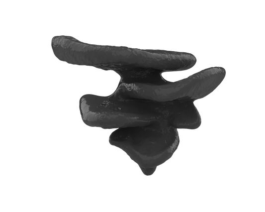 Mushroom Climbing Ledge | Suction-Mounted Terrarium Shelf Perch for Snakes & Reptiles