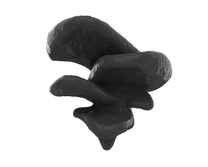 Mushroom Climbing Ledge | Suction-Mounted Terrarium Shelf Perch for Snakes & Reptiles