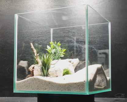 Tiraxis Buried Observation Cave | Aquarium & Terrarium Decor | Natural Hide for Fish, Plecos, Shrimp, Beetles or Reptiles