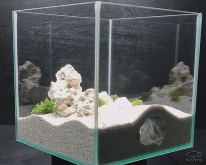 Vortex Observation Cave | Aquarium & Terrarium Decor