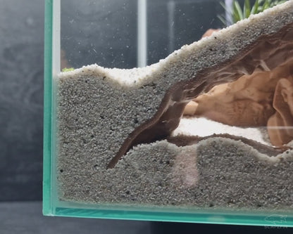 Pharaoh’s Tomb Observation Cave | Aquarium & Terrarium Decor
