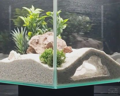 Triton Observation Cave | Aquarium & Terrarium Decor | Natural Hide for Fish, Plecos, Shrimp, Beetles or Reptiles