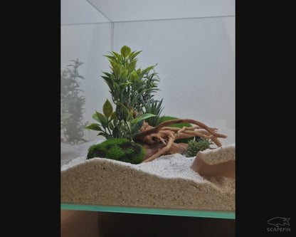 Waveon Observation Cave | Aquarium & Terrarium Décor | Natural Hide for Fish, Plecos, Shrimp or Reptiles